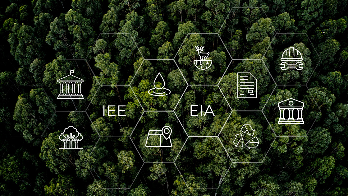 Licensing and Approvals