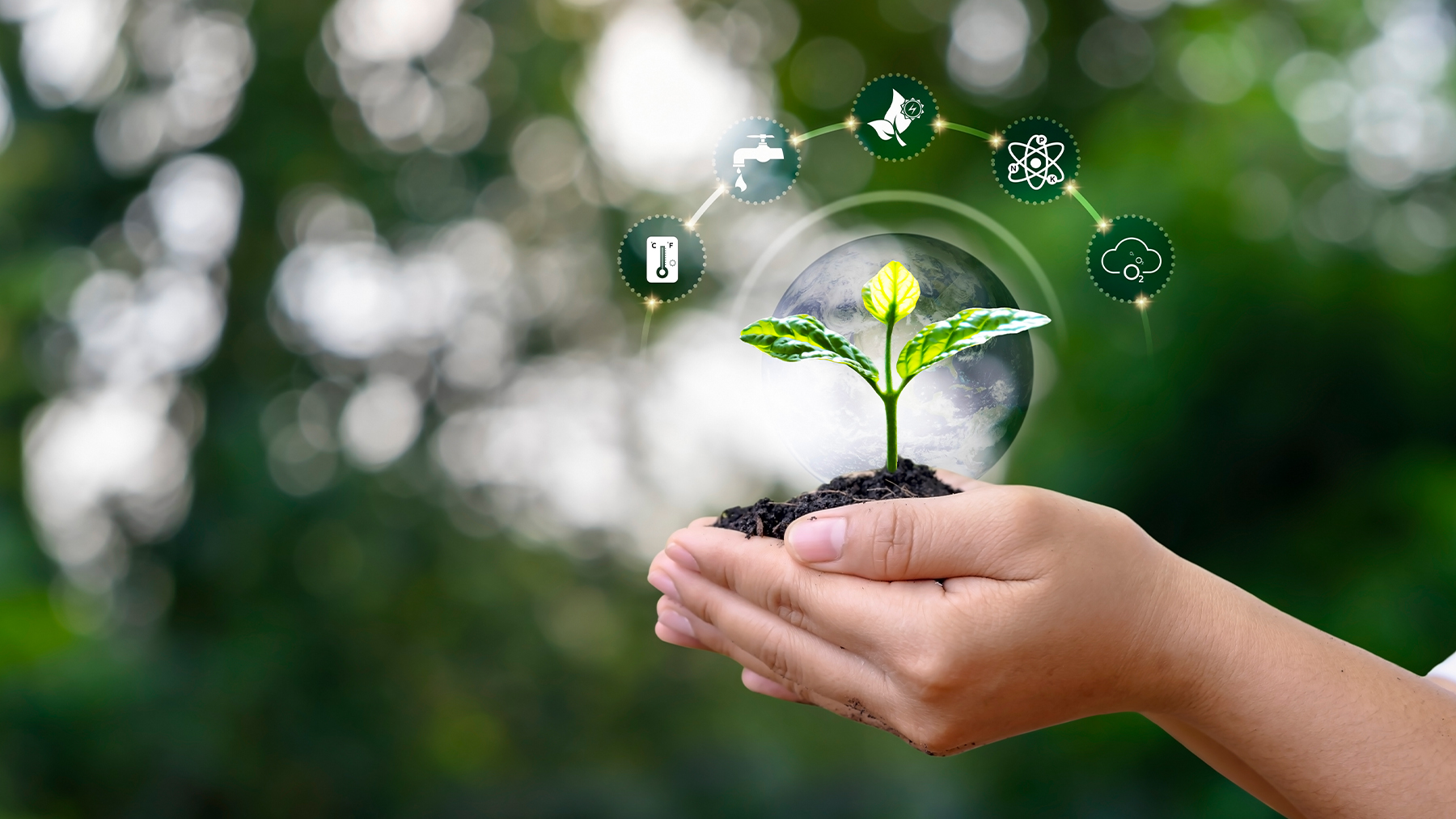 Life Cycle Assessment (LCA)